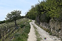 VBS_3108 - Mango (Cuneo) - Gnomovia